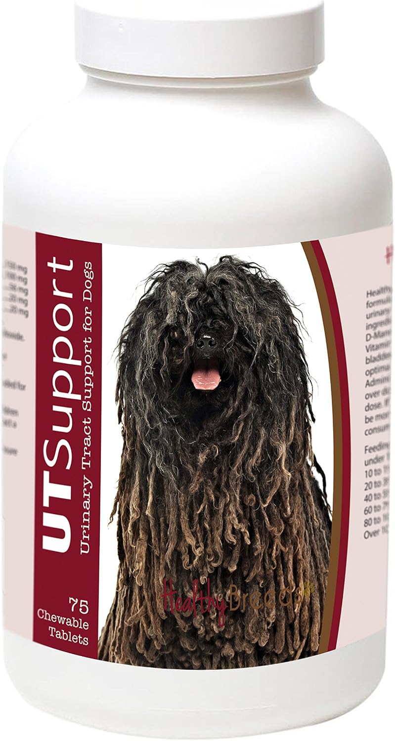 Healthy Breeds Cranberry Chews for Dogs – Urinary Tract Support, 75 Count - görsel 1