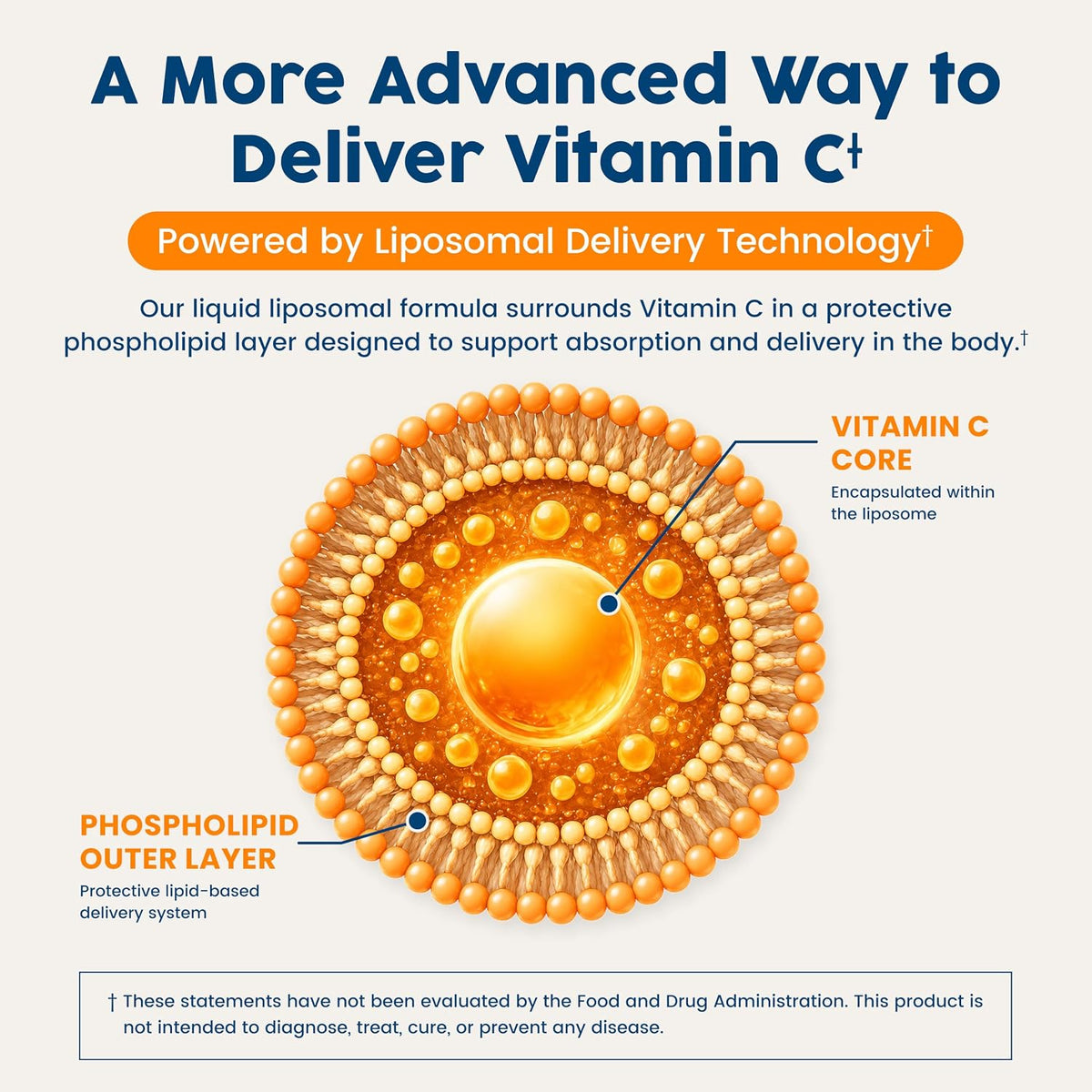 NativePath Liposomal Vitamin C 500mg from Whole-Food Amla Fruit - Soya-Free Egg Yolk Lecithin Liposomes - Orange Flavour Liquid for High Absorption Daily Immune & Collagen Support - 30 Servings - görsel 4