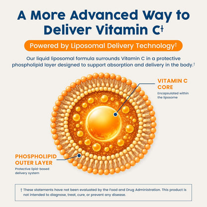 NativePath Liposomal Vitamin C 500mg from Whole-Food Amla Fruit - Soya-Free Egg Yolk Lecithin Liposomes - Orange Flavour Liquid for High Absorption Daily Immune & Collagen Support - 30 Servings