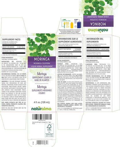 Naturalma Moringa (Moringa oleifera or Moringa Aptera) Leaf Alcohol-Free Tincture - 120 ml Liquid Extract in Drops - Herbal Supplement - Vegan