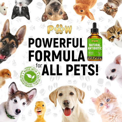 Golden Paw Natural Antibiotics for Dogs and Cats – Organic Liquid Immune Support Drops (60 ml)