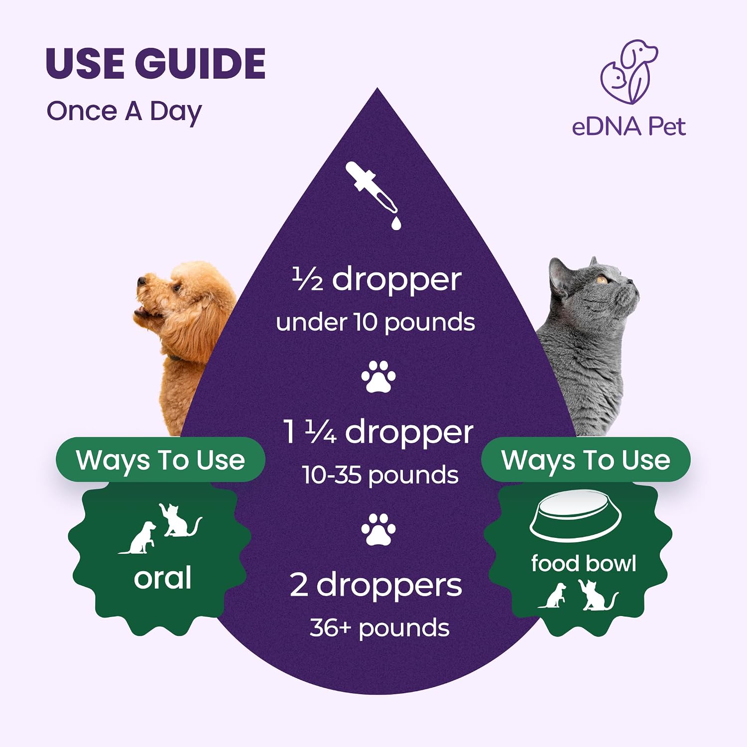 Edna Home Herbal Supplements for Dogs & Cats - Cranberry Respiratory Support Drops, 60ml - görsel 3