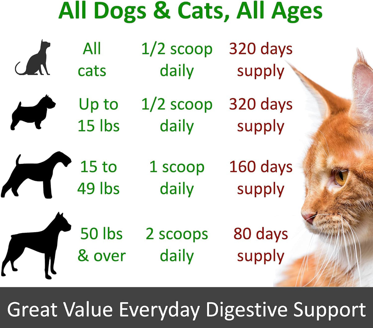 TummyWorks Probiotics for Dogs and Cats. 160 Scoops Probiotic Powder for Digestive Health, Gut, Immunity, Energy, Skin & Coat. 10 Strains, 5 Billion CFUs with 6 Enzymes & Prebiotics. Made in USA. - görsel 5