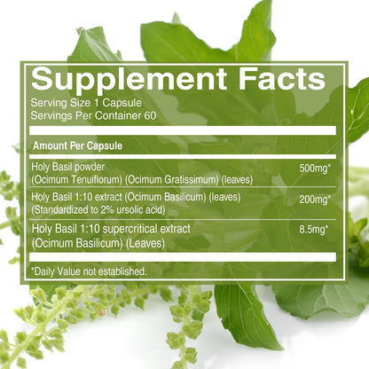 Pure Nutrition Tulsi Extract 708mg – 60 Vegan Capsules (Adaptogenic Support)