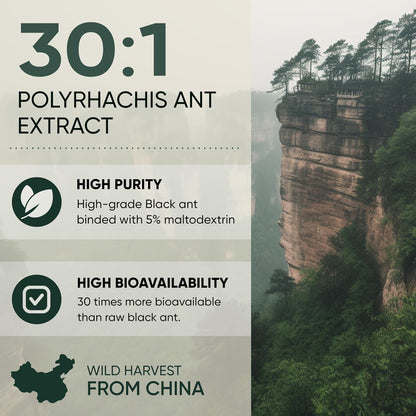 Jungle Powders Black Ant Extract Powder 30:1, 142 g (94 Servings) - Traditional Men's Health Support