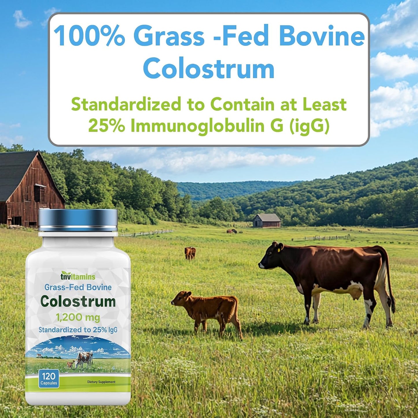 Colostrum Supplement 1,200 mg per serving, 120 Capsules | Standardised to 25% IgG | Grass-Fed Bovine Colostrum Powder Capsules | Immune Support | Non-GMO, Made in the USA! - görsel 4