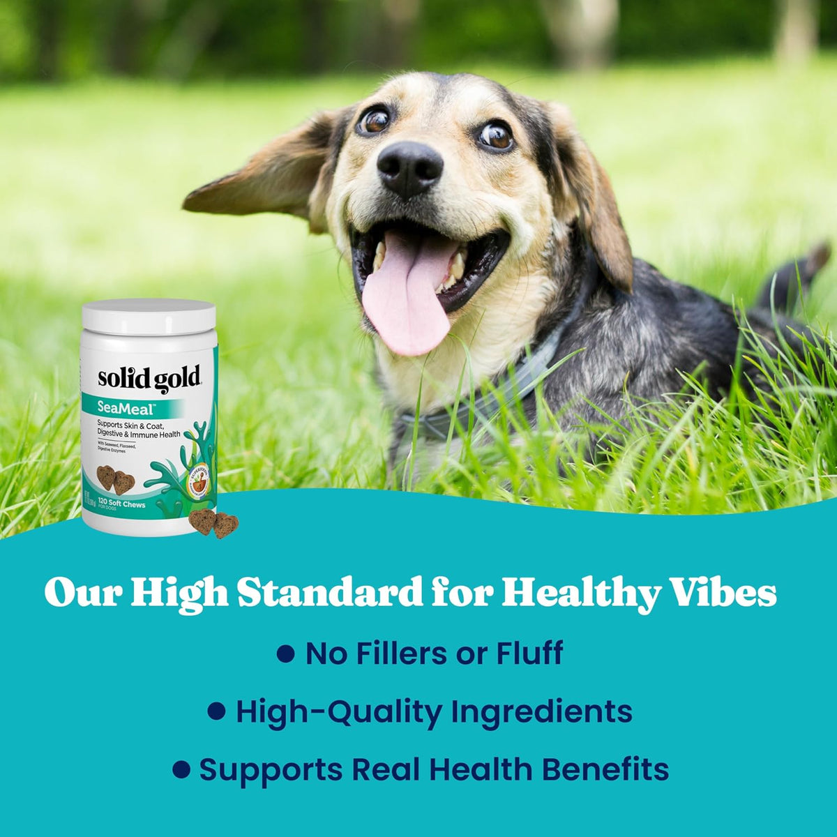 Solid Gold SeaMeal Cat & Dog Multivitamin Chews - Kelp, Omega-3 & Vitamins for Dental, Digestive, Immune, Skin & Coat Health - Multivitamin for Dogs & Cats - Sea Kelp Based Soft Chew for All Ages - 120ct - görsel 7