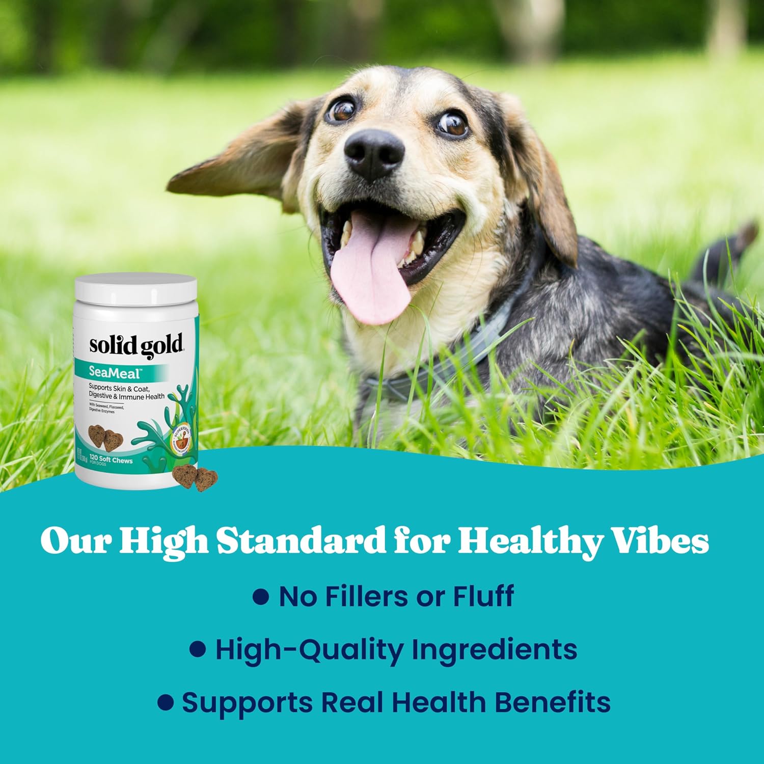 Solid Gold SeaMeal Cat & Dog Multivitamin Chews - Kelp, Omega-3 & Vitamins for Dental, Digestive, Immune, Skin & Coat Health - Multivitamin for Dogs & Cats - Sea Kelp Based Soft Chew for All Ages - 120ct - görsel 7