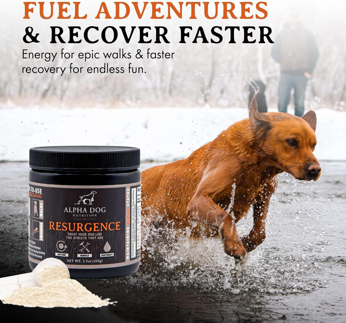 Alpha Dog Nutrition Electrolytes for Dogs - PhD Formulated Hydration Supplement with Beef Flavour for Active Canines - görsel 3