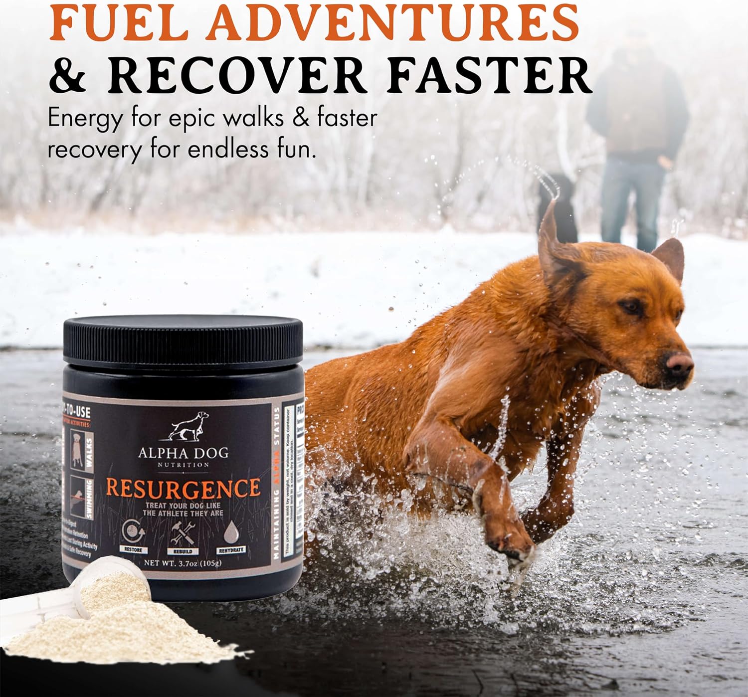 Alpha Dog Nutrition Electrolytes for Dogs - PhD Formulated Hydration Supplement with Beef Flavour for Active Canines - görsel 3