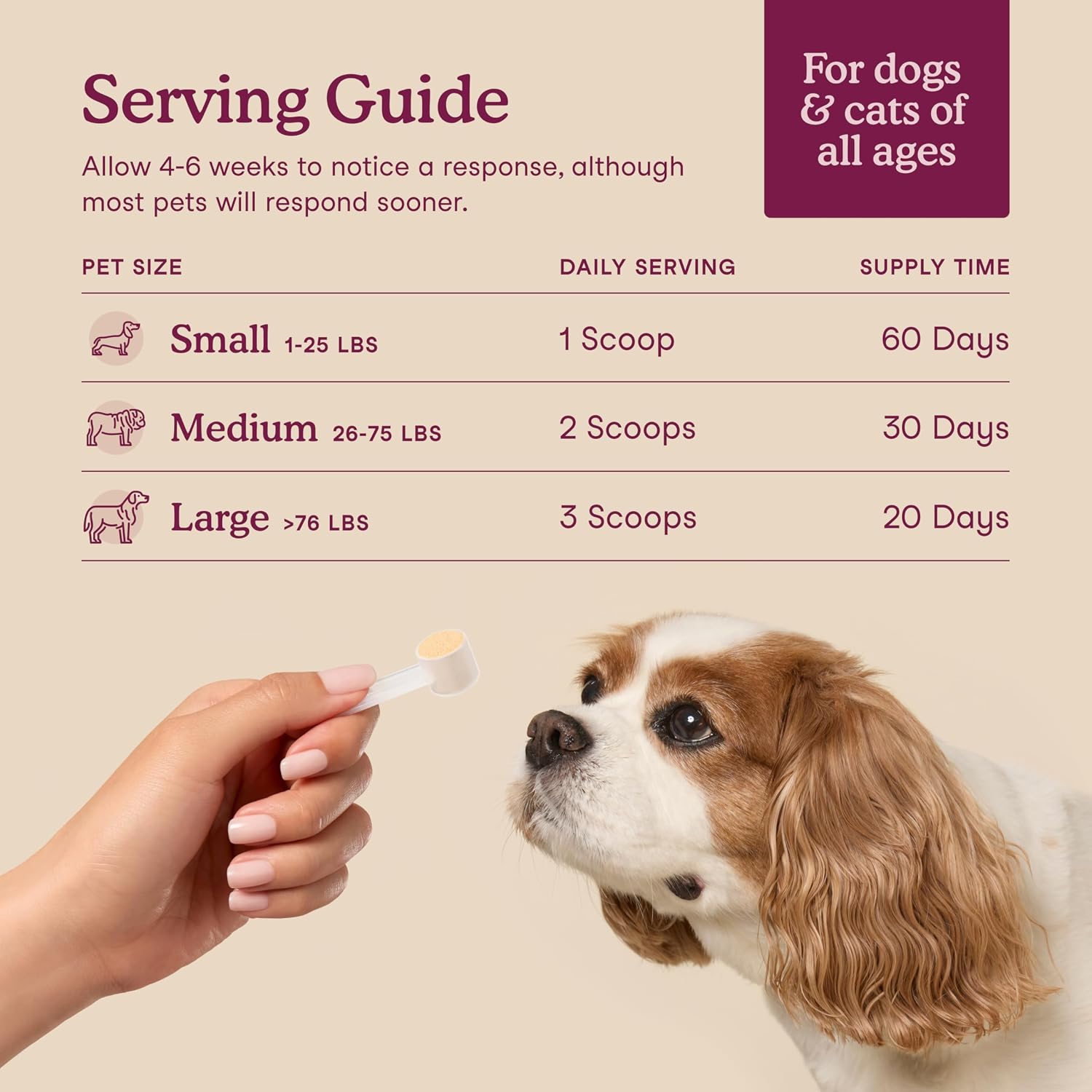 Fera Pets Bladder Support – Cranberry Supplement for Dogs and Cats, 60 Scoops - görsel 4