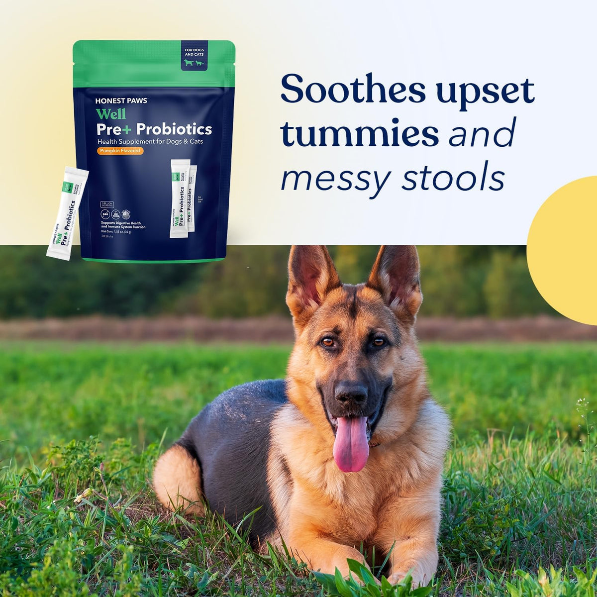Honest Paws Probiotics for Dogs - Dog Digestion Gut Health Probiotic Powder with Prebiotic Made in the USA, Digestive and Immune Support - Digestive Enzymes with Pumpkin Flavour (30 Sticks) - görsel 8