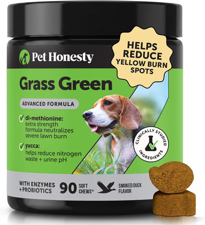 Grass Green Advanced Formula Dog Urine Neutraliser for Lawn Burns - Lawn Saver Supplement for Yellow Spots & Brown Grass, Urinary Health, DL-Methionine, Probiotics & Enzymes (Duck, 90 Ct)