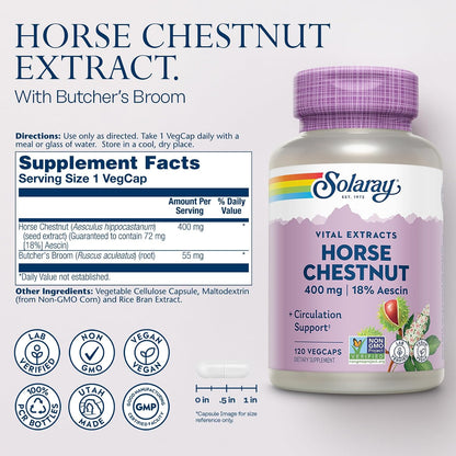 SOLARAY Horse Chestnut Extract 400 mg - Standardised to 72 mg Aescin with Butcher's Broom - Vein & Circulation Support - Vegan, Non-GMO - 120 Vegetarian Capsules