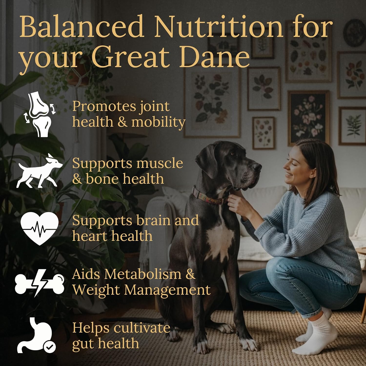 Multivitamins, Balanced Nutrition for Your Great Dane, 90 Chews, Made in the United States with Real Bacon - görsel 2