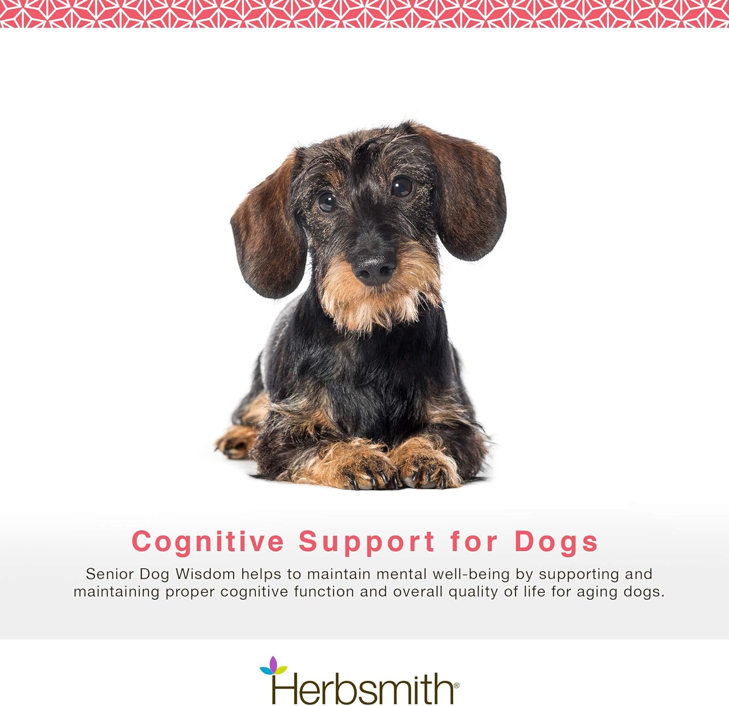 Herbsmith Senior Dog Wisdom - Brain Health Supplement for Senior Dogs - 75g - görsel 3
