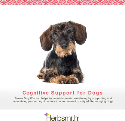 Herbsmith Senior Dog Wisdom – Cognitive Support for Senior Dogs – DHA for Brain Health – 150g