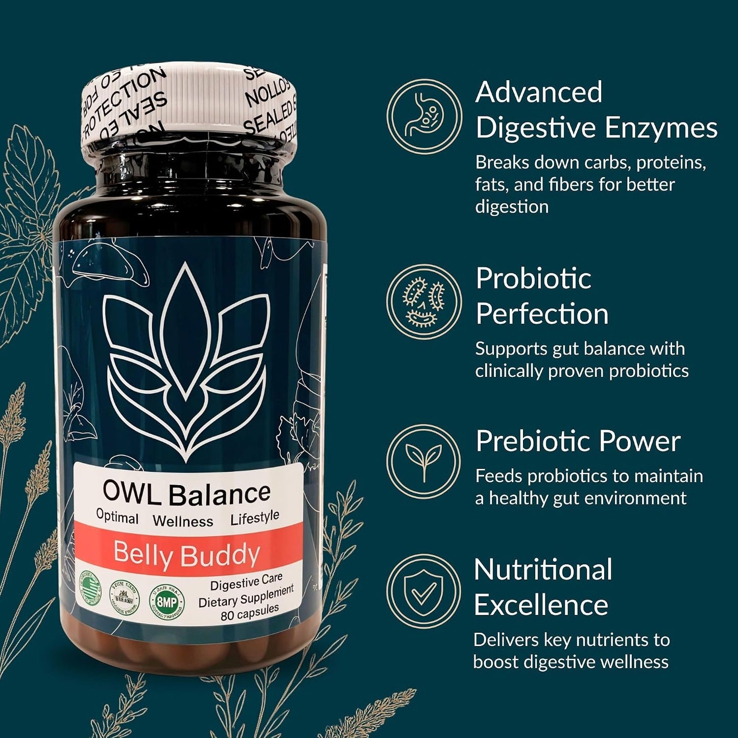 Belly Buddy Advanced Gut Health Support – Probiotics, Prebiotics & Digestive Enzymes - görsel 2