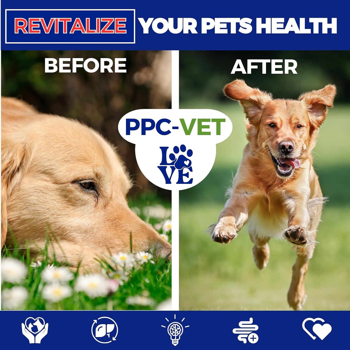 PPC-Vet Polyunsaturated Phosphatidylcholine Liver and Brain Health Supplement for All Sized Cats and Dogs 1000mg PPC / 5mL - Liposomal Liquid 237ml - görsel 6