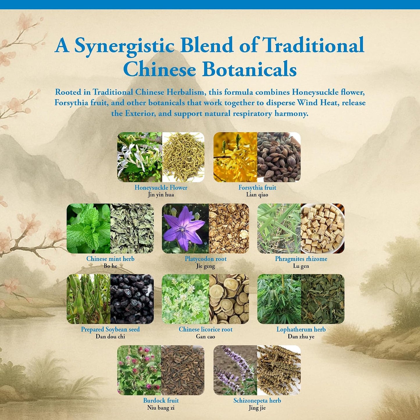 Kan Herbs Company Yin Qiao – Traditional Chinese Herbal Formula – 120 Tablets - görsel 4