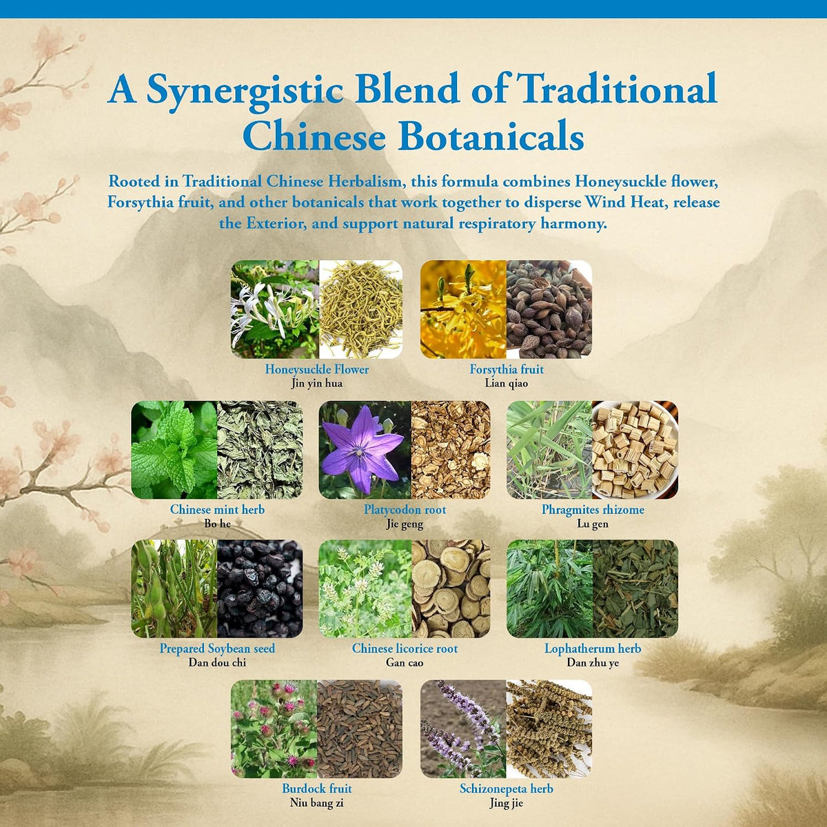 Kan Herbs Company Yin Qiao – Traditional Chinese Herbal Formula – 120 Tablets - görsel 4
