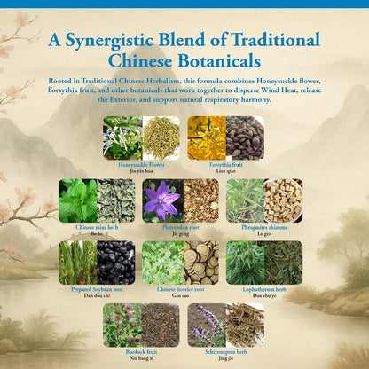 Kan Herbs Company Yin Qiao – Traditional Chinese Herbal Formula – 120 Tablets