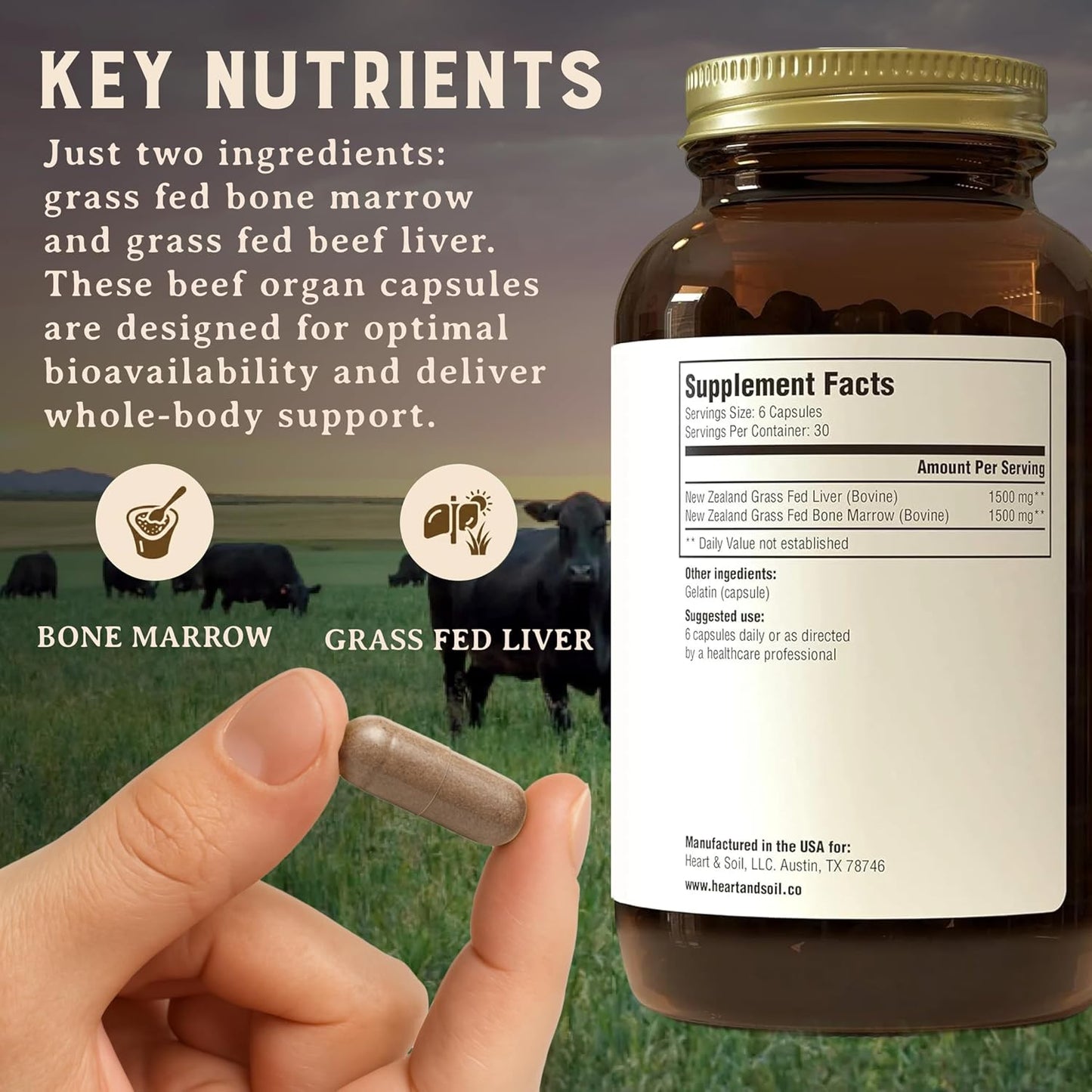 Heart & Soil 100% Grass Fed Bone Marrow & Beef Liver Supplement – 180 Capsules - görsel 7