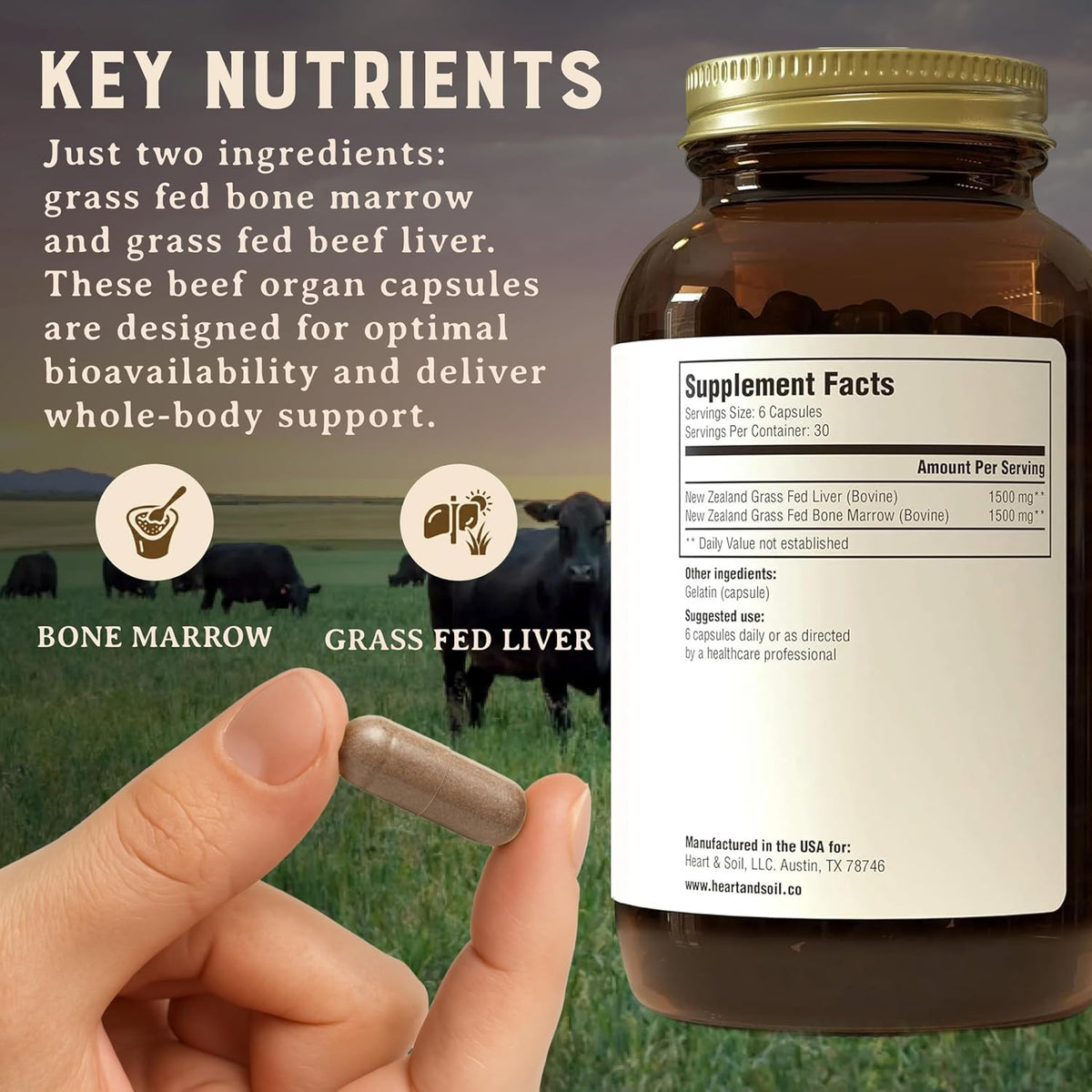 Heart & Soil 100% Grass Fed Bone Marrow & Beef Liver Supplement – 180 Capsules - görsel 7