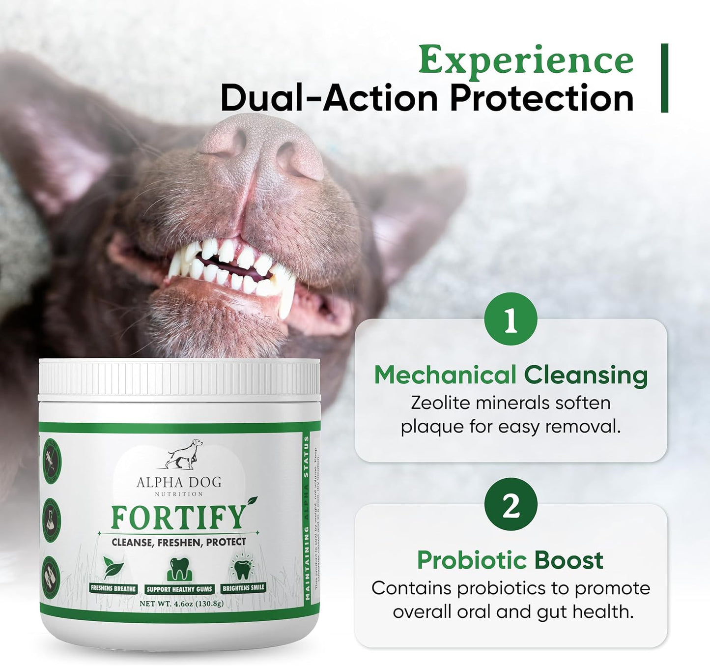 Alpha Dog Teeth Cleaning Powder - Natural Dental Powder for Dogs with Kelp and Probiotics - görsel 4