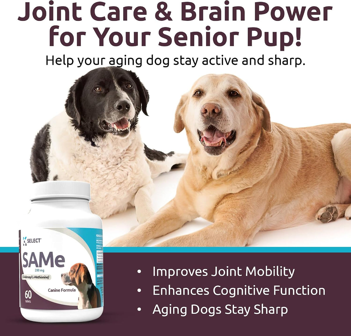 K9 Select SAM-e for Medium and Large Adult Dogs, 60 Tablets, 200mg Active S-Adenosyl L-Methionine - görsel 3