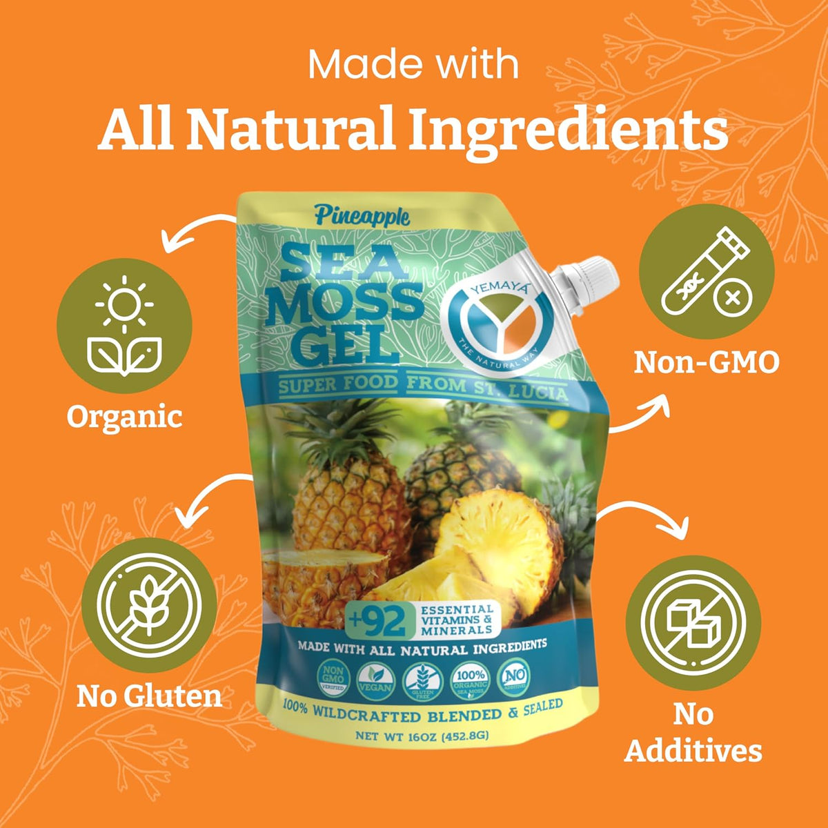 Yemayá Organic Sea Moss Gel with Pineapple Flavour, Wildcrafted Seamoss Gel from St. Lucia, Vegan, Non-GMO, Gluten-free | 16 oz (454 g) - görsel 4