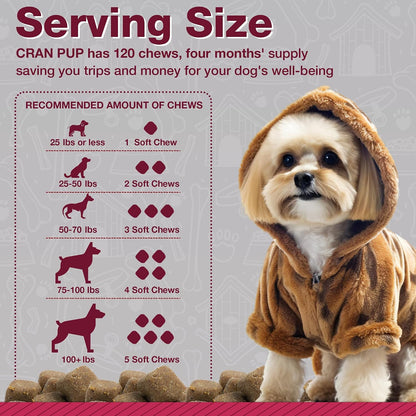 Pawlife Cranberry Supplements for Dogs | Urinary Tract and Bladder Support | D-Mannose and Antioxidants | 120 Veterinarian-Formulated Soft Chews