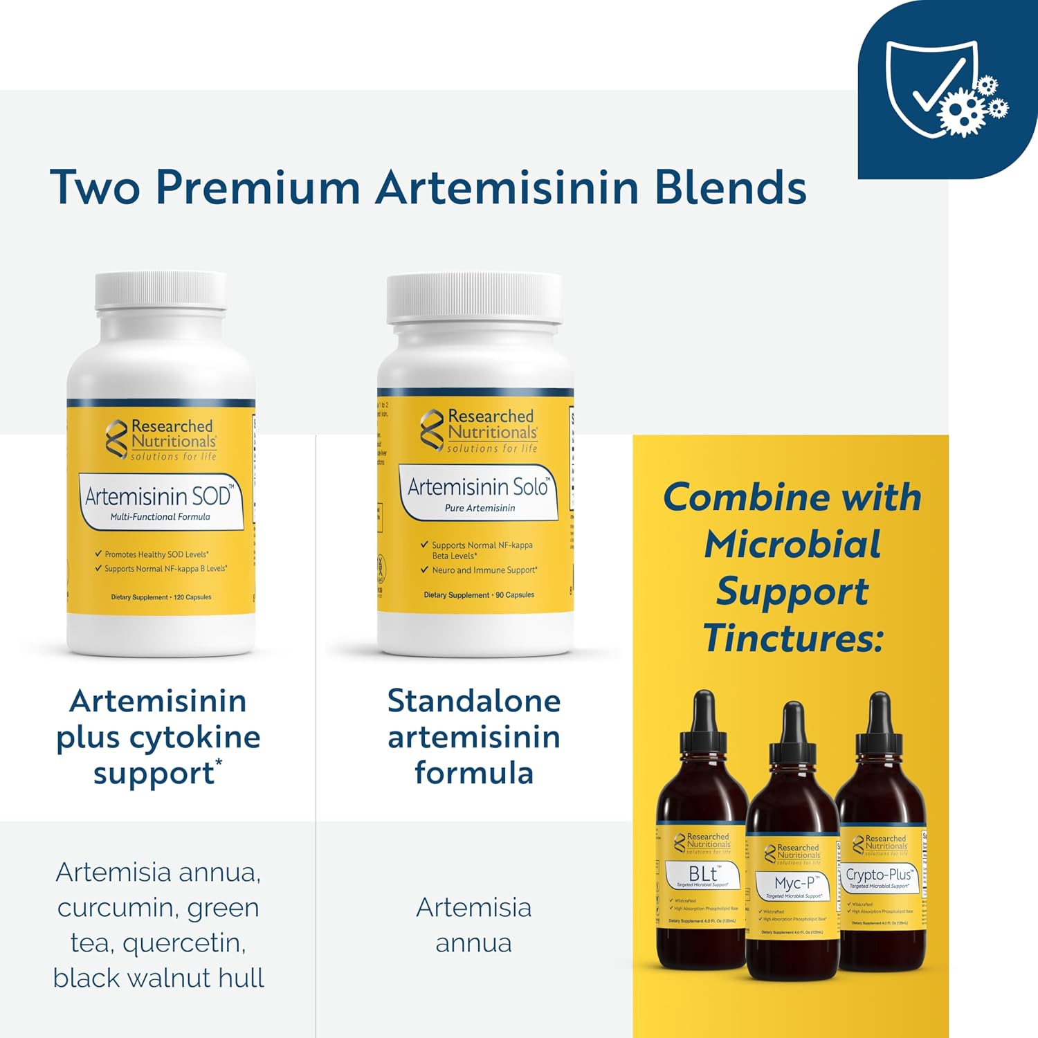 Artemisinin SOD - Immune Support Supplement with Artemisinin, Green Tea Extract, Quercetin & Turmeric Curcumin (120 Capsules) - görsel 5