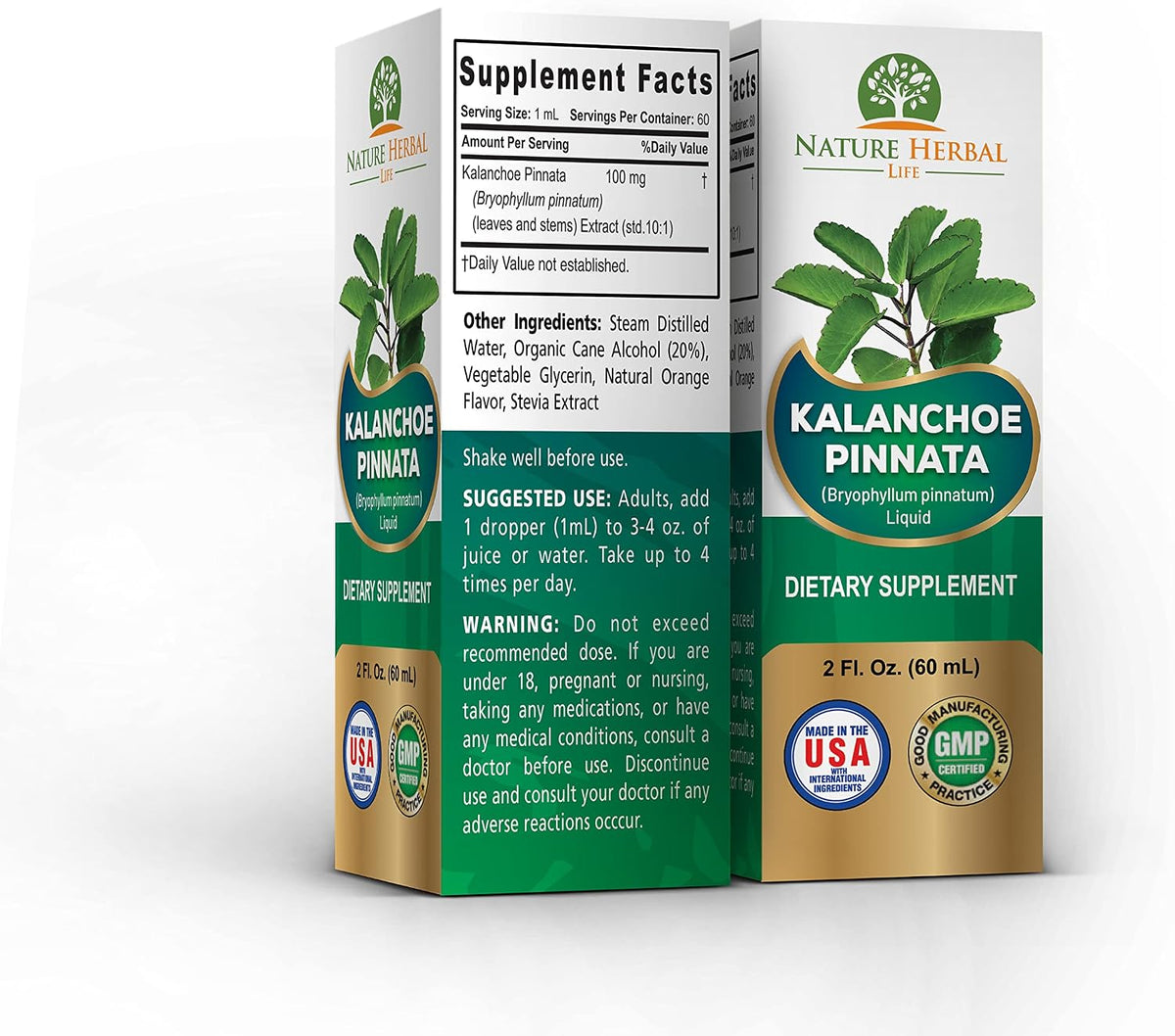 Kalanchoe Pinnata (Bryophyllum Pinnatum) Glycerite, Dried Leaf and Stem Liquid Extract. Herbal Supplement, Antioxidants. 1 Bottle, 2 fl oz (60 ml) - görsel 2