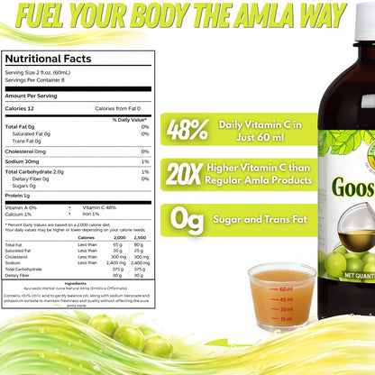 Basic Ayurveda Amla (Gooseberry) Juice | 480ml | Natural Vitamin C for Immune Function, Skin Radiance & Hair Health | Ayurvedic Daily Wellness Tonic | No Added Sugar