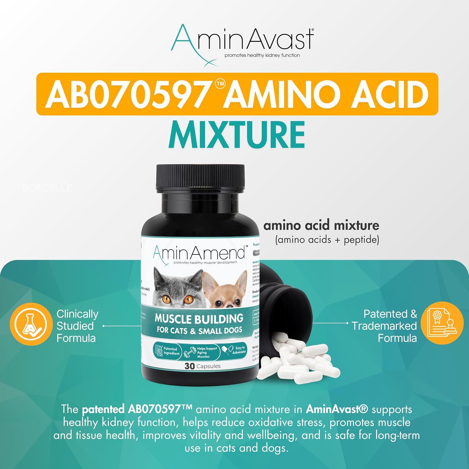 AminAvast Kidney Support Supplement for Cats and Small Dogs – 300 mg Three-Pack (60 Sprinkle Capsules) - görsel 3