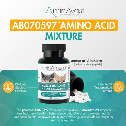 AminAvast Kidney Support Supplement for Cats and Small Dogs – 300 mg Three-Pack (60 Sprinkle Capsules)
