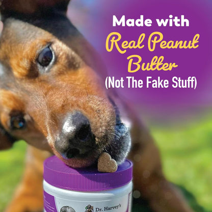 Dr. Harvey's Digestive Probiotic Soft Chews for Dogs, 9 Probiotics for Gut Health, Peanut Butter Flavour (90 Chews)