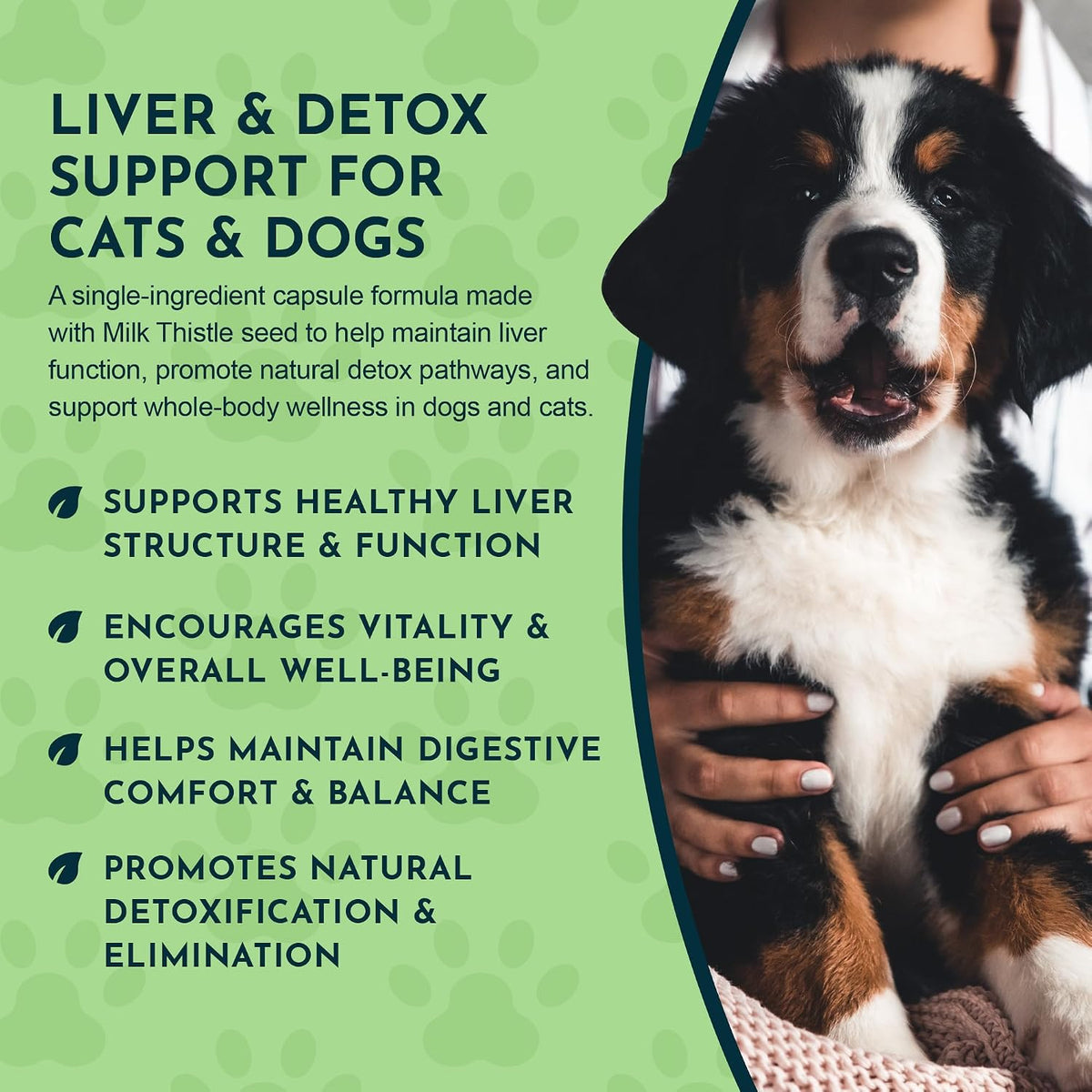 Milk Thistle for Dogs & Cats - Liver Support Supplement, 150mg, 30 Capsules - görsel 6