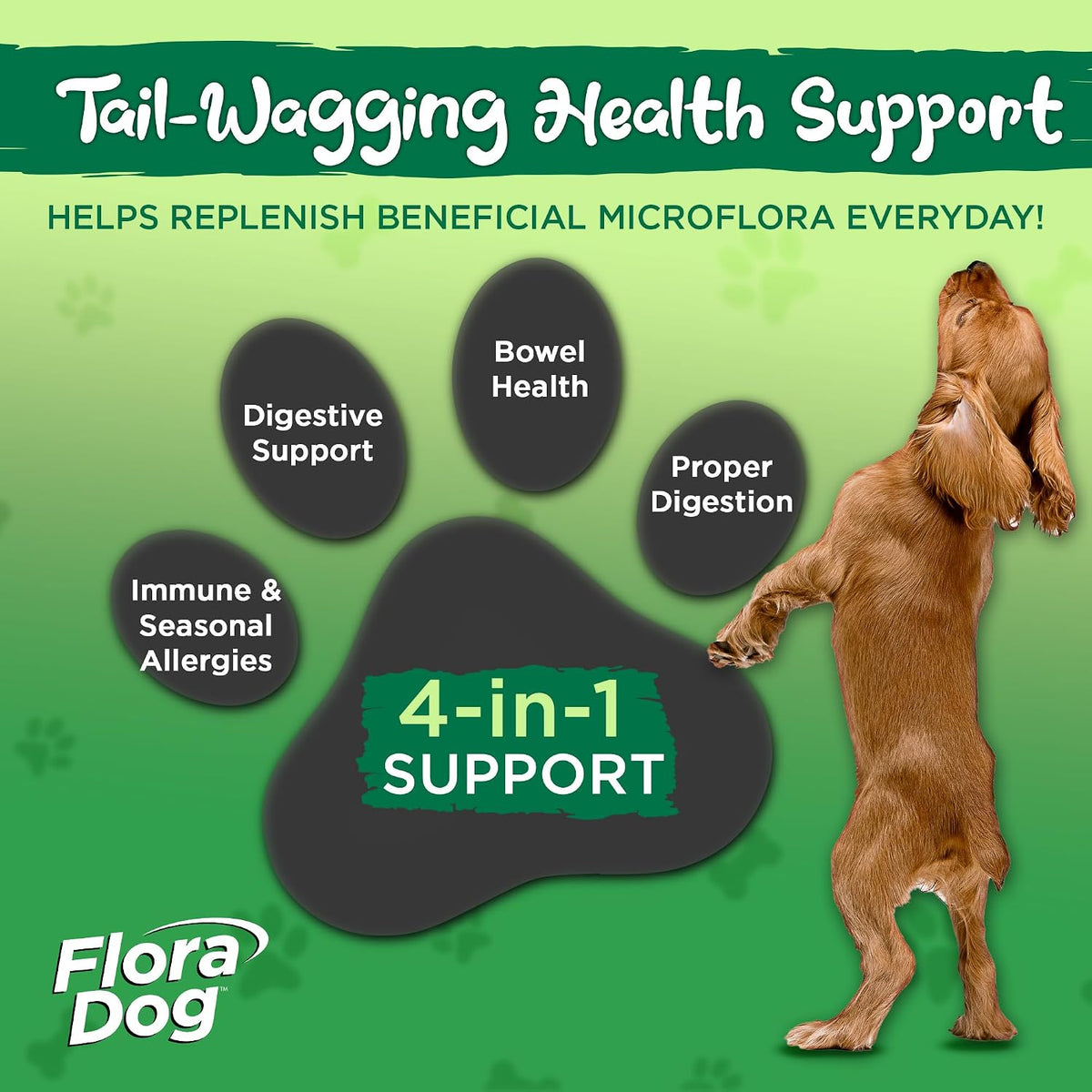 Flora Dog Probiotic Powder for Dogs - 20 Billion Cultures, 10 Strains, 222 g (60 Servings) - görsel 4