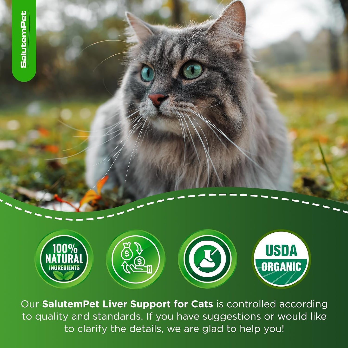 SalutemPet Cat Kidney Support - Milk Thistle Herbal Supplement for Cats, Chicken Flavour, 60 ml - görsel 8