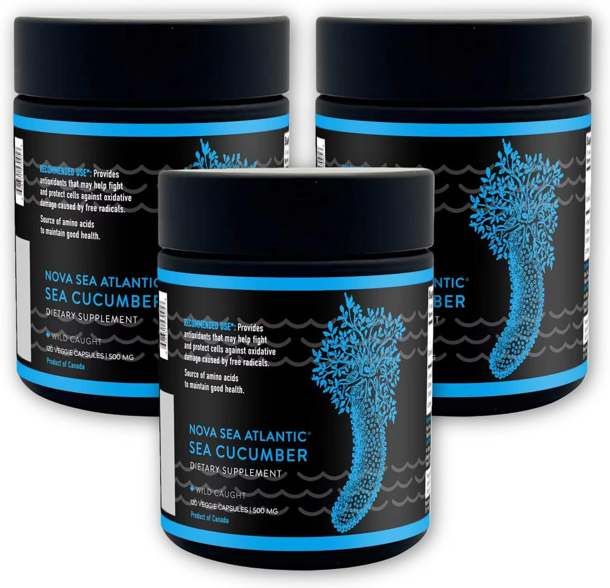 Nova Sea Atlantic Sea Cucumber Supplement – Wild Caught, 60 Capsules - görsel 9