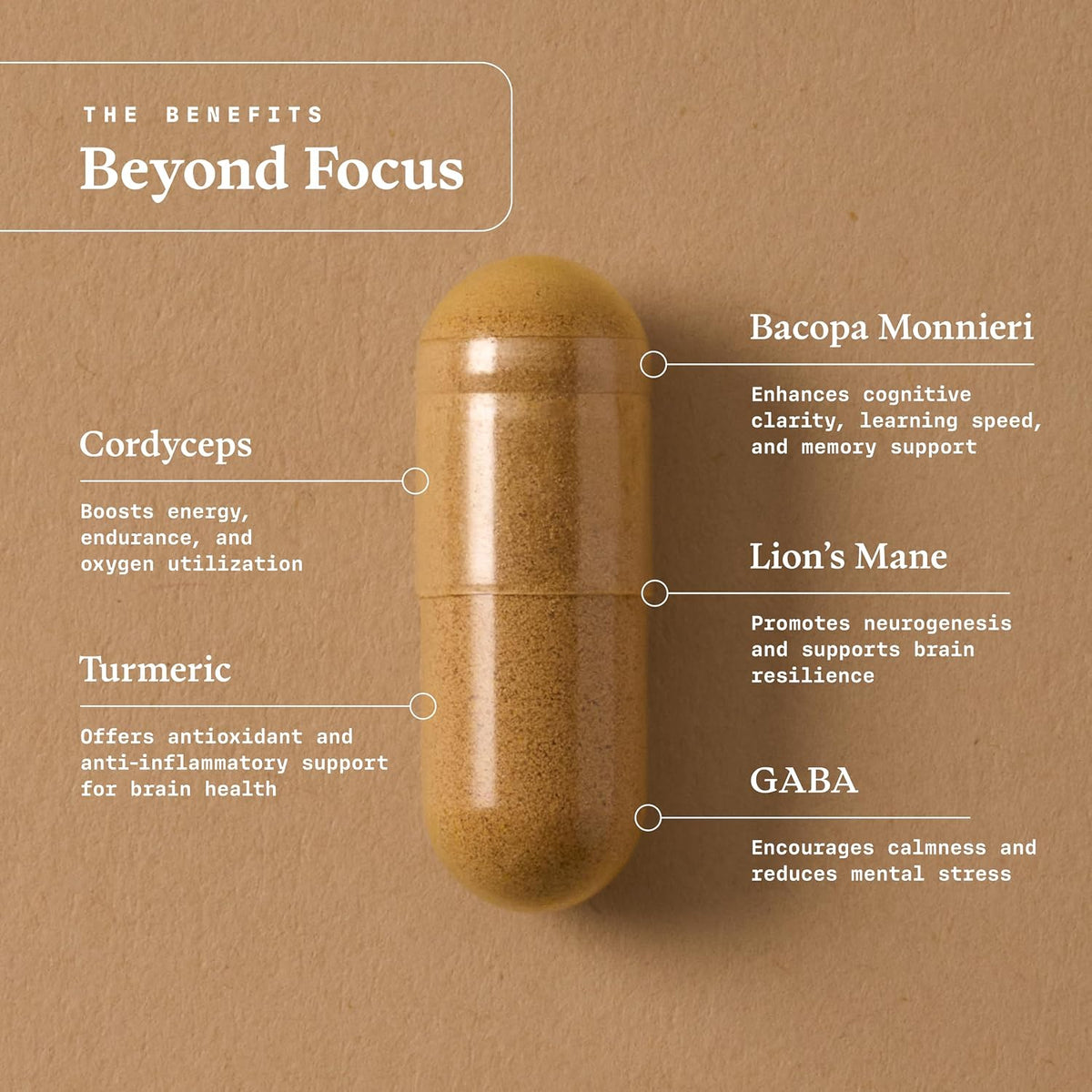 Beyond Focus Organic Mushroom Supplement - Brain Support for Memory and Focus - 30 Capsules - görsel 3
