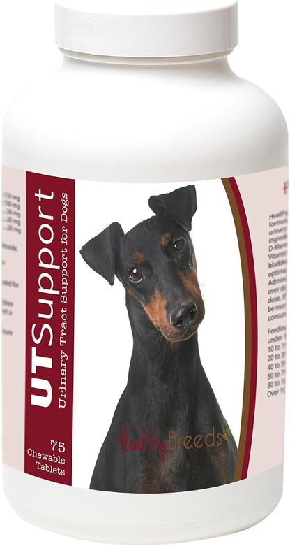 Healthy Breeds Manchester Terrier Cranberry Chews - Urinary Tract Support, 75 Count