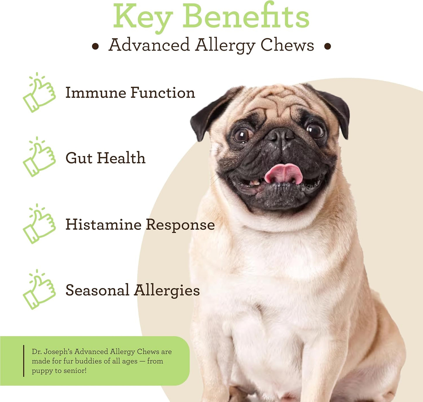 VetPro Advanced Allergy and Itch Support for Dogs - görsel 4
