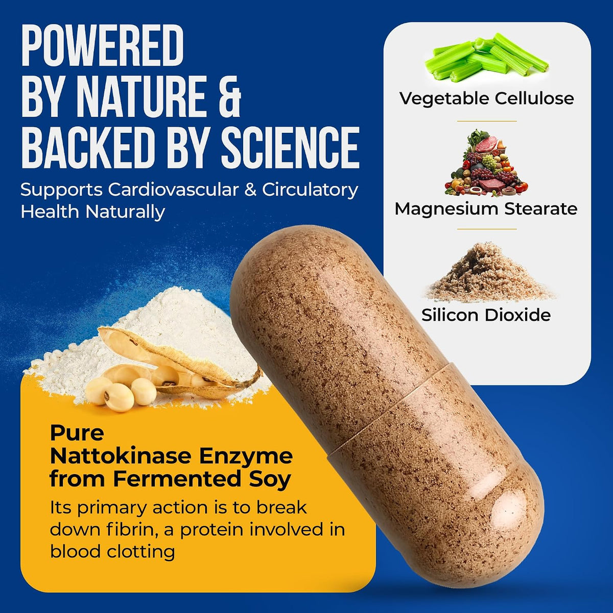 Nature's Nectar Organic Nattokinase 250mg – Double Strength 5000 FU – Cardiovascular & Blood Circulation Support – 90 Capsules - görsel 3