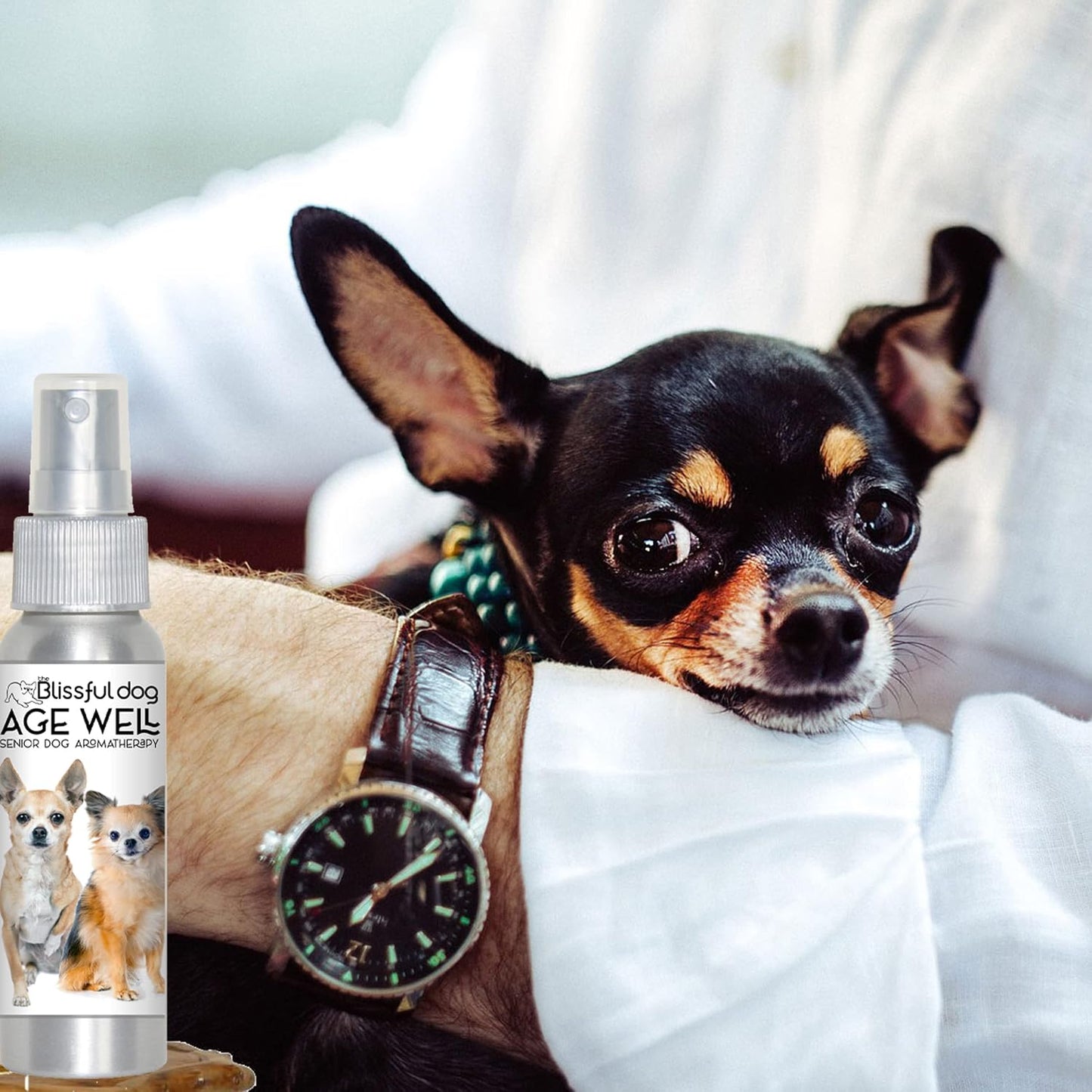 The Blissful Dog Chihuahua Age Well Spray Aromatherapy - görsel 7