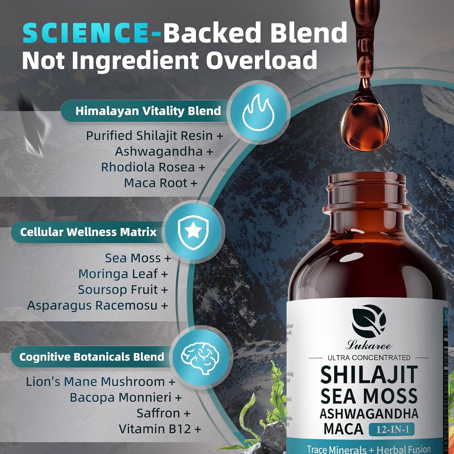 Shilajit Liquid Drops, 12-in-1 Complex - Sea Moss, Ashwagandha, Maca, Fulvic Acid, Trace Minerals, Liquid Multivitamin Supplement for Men and Women, Energy, Antioxidant, Immune Support, 60ml - görsel 3