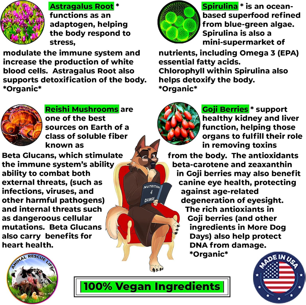 More Dog Days Anti-Ageing & Immune Support | Organic, Human-Grade Ingredients | Medicinal Plants & Mushroom Extracts | Omega 3s, Antioxidants, Probiotics, Vitamins & Minerals | Plant-Based & Vegan - görsel 5