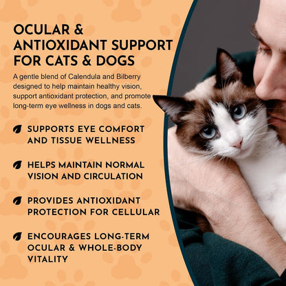 Eye Defence Support for Dogs & Cats, 60 ml - Certified Organic Bilberry & Calendula Herbal Blend, Alcohol-Free
